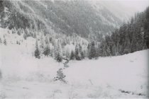 RC 2015.0.2.1 Bishop Interview Image Number 70